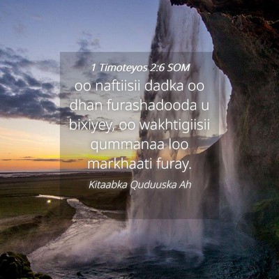 Picture 04 - 1 Timoteyos 2:6 SOM - oo naftiisii dadka oo dhan furashadooda u - Bible Verse Picture