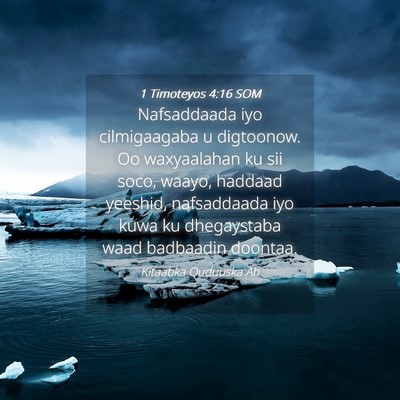 Picture 04 - 1 Timoteyos 4:16 SOM - Nafsaddaada iyo cilmigaagaba u digtoonow. Oo - Bible Verse Picture