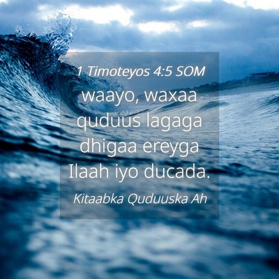 Picture 04 - 1 Timoteyos 4:5 SOM - waayo, waxaa quduus lagaga dhigaa ereyga Ilaah - Bible Verse Picture