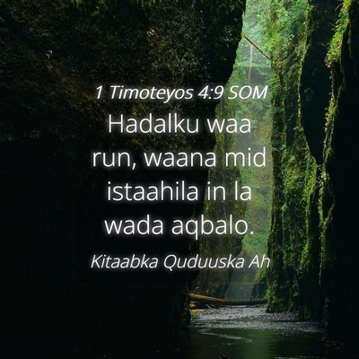 Picture 04 - 1 Timoteyos 4:9 SOM - Hadalku waa run, waana mid istaahila in la wada - Bible Verse Picture