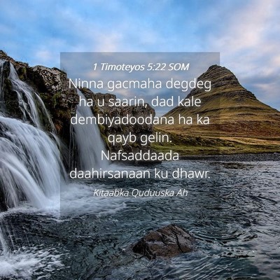 Picture 04 - 1 Timoteyos 5:22 SOM - Ninna gacmaha degdeg ha u saarin, dad kale - Bible Verse Picture