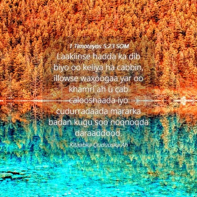 Picture 04 - 1 Timoteyos 5:23 SOM - Laakiinse hadda ka dib biyo oo keliya ha cabbin, - Bible Verse Picture