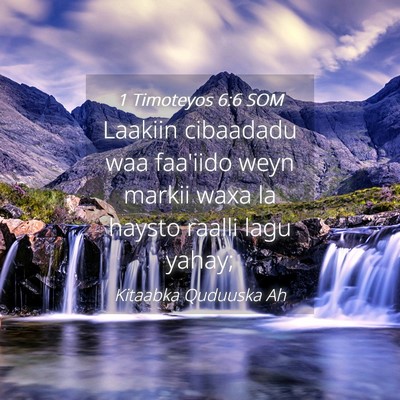 Picture 04 - 1 Timoteyos 6:6 SOM - Laakiin cibaadadu waa faa'iido weyn markii waxa - Bible Verse Picture