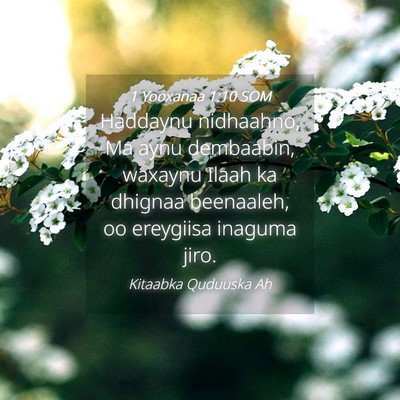 Picture 04 - 1 Yooxanaa 1:10 SOM - Haddaynu nidhaahno, Ma aynu dembaabin, waxaynu - Bible Verse Picture