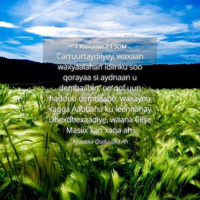 Picture 04 - 1 Yooxanaa 2:1 SOM - Carruurtaydiiyey, waxaan waxyaalahan idiinku soo - Bible Verse Picture