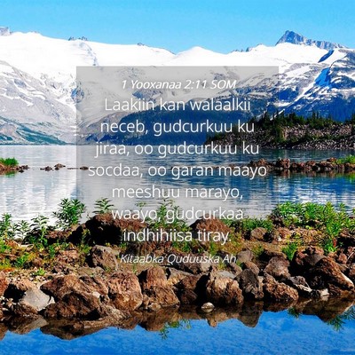 Picture 04 - 1 Yooxanaa 2:11 SOM - Laakiin kan walaalkii neceb, gudcurkuu ku jiraa, - Bible Verse Picture