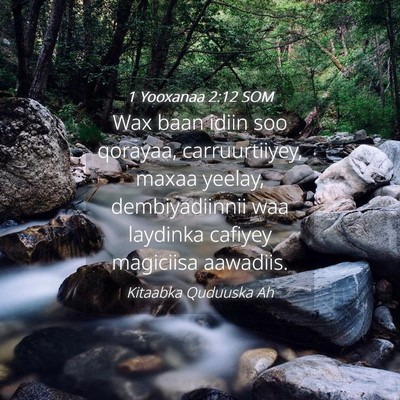 Picture 04 - 1 Yooxanaa 2:12 SOM - Wax baan idiin soo qorayaa, carruurtiiyey, maxaa - Bible Verse Picture