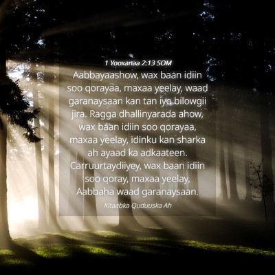 Picture 04 - 1 Yooxanaa 2:13 SOM - Aabbayaashow, wax baan idiin soo qorayaa, maxaa - Bible Verse Picture