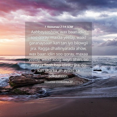 Picture 04 - 1 Yooxanaa 2:14 SOM - Aabbayaashow, wax baan idiin soo qoray, maxaa - Bible Verse Picture