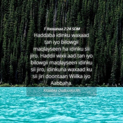Picture 04 - 1 Yooxanaa 2:24 SOM - Haddaba idinku waxaad tan iyo bilowgii maqlayseen - Bible Verse Picture