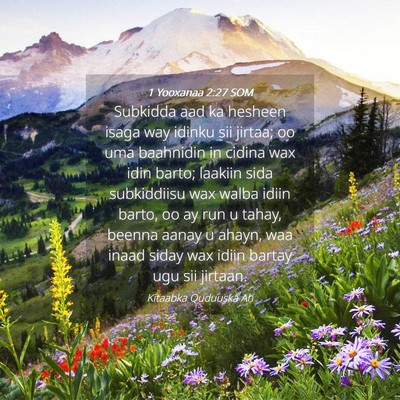 Picture 04 - 1 Yooxanaa 2:27 SOM - Subkidda aad ka hesheen isaga way idinku sii - Bible Verse Picture
