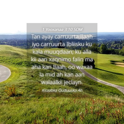 Picture 04 - 1 Yooxanaa 3:10 SOM - Tan ayay carruurta Ilaah iyo carruurta Ibliisku - Bible Verse Picture