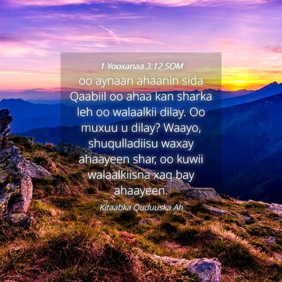 Picture 04 - 1 Yooxanaa 3:12 SOM - oo aynaan ahaanin sida Qaabiil oo ahaa kan sharka - Bible Verse Picture
