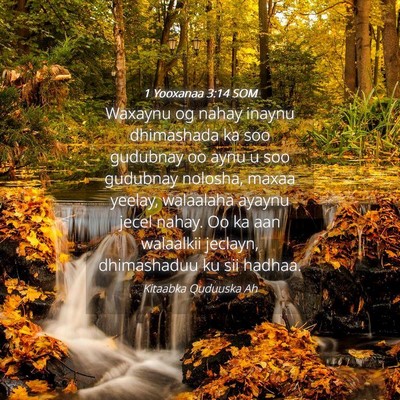 Picture 04 - 1 Yooxanaa 3:14 SOM - Waxaynu og nahay inaynu dhimashada ka soo - Bible Verse Picture
