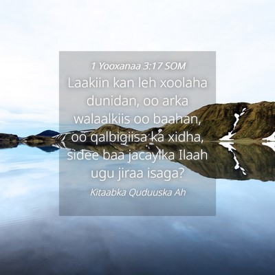 Picture 04 - 1 Yooxanaa 3:17 SOM - Laakiin kan leh xoolaha dunidan, oo arka - Bible Verse Picture