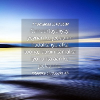 Picture 04 - 1 Yooxanaa 3:18 SOM - Carruurtaydiiyey, yeynan ku jeclaanin hadalka iyo - Bible Verse Picture