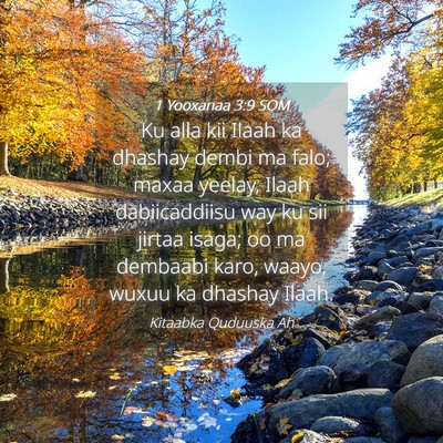 Picture 04 - 1 Yooxanaa 3:9 SOM - Ku alla kii Ilaah ka dhashay dembi ma falo; maxaa - Bible Verse Picture