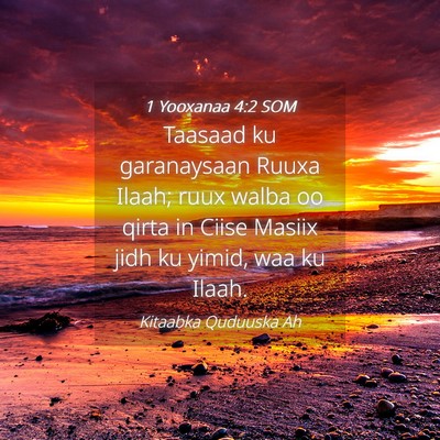 Picture 04 - 1 Yooxanaa 4:2 SOM - Taasaad ku garanaysaan Ruuxa Ilaah; ruux walba oo - Bible Verse Picture