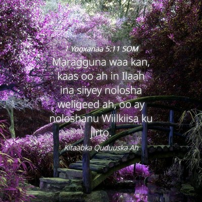 Picture 04 - 1 Yooxanaa 5:11 SOM - Maragguna waa kan, kaas oo ah in Ilaah ina siiyey - Bible Verse Picture