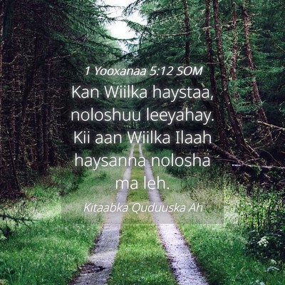 Picture 04 - 1 Yooxanaa 5:12 SOM - Kan Wiilka haystaa, noloshuu leeyahay. Kii aan - Bible Verse Picture