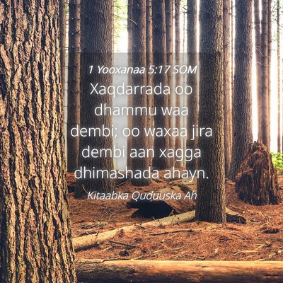Picture 04 - 1 Yooxanaa 5:17 SOM - Xaqdarrada oo dhammu waa dembi; oo waxaa jira - Bible Verse Picture