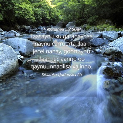 Picture 04 - 1 Yooxanaa 5:2 SOM - Taasaynu ku garanaynaa inaynu carruurta Ilaah - Bible Verse Picture