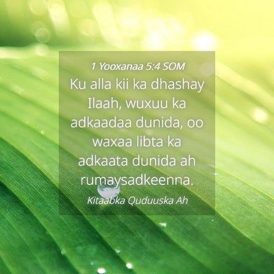 Picture 04 - 1 Yooxanaa 5:4 SOM - Ku alla kii ka dhashay Ilaah, wuxuu ka adkaadaa - Bible Verse Picture