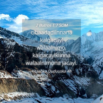 Picture 04 - 2 Butros 1:7 SOM - cibaadadiinnana kalgacayl walaalnimo, - Bible Verse Picture