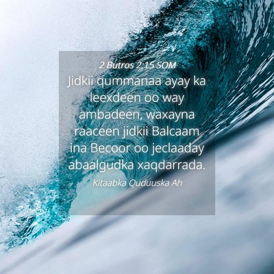 Picture 04 - 2 Butros 2:15 SOM - Jidkii qummanaa ayay ka leexdeen oo way ambadeen, - Bible Verse Picture