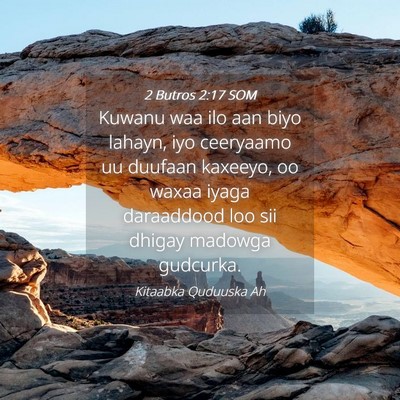 Picture 04 - 2 Butros 2:17 SOM - Kuwanu waa ilo aan biyo lahayn, iyo ceeryaamo uu - Bible Verse Picture
