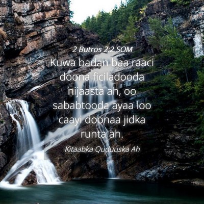 Picture 04 - 2 Butros 2:2 SOM - Kuwa badan baa raaci doona ficiladooda nijaasta - Bible Verse Picture