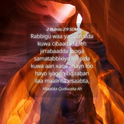 Picture 04 - 2 Butros 2:9 SOM - Rabbigu waa yaqaan sida kuwa cibaadada leh - Bible Verse Picture