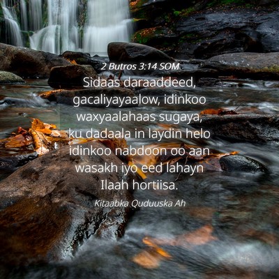 Picture 04 - 2 Butros 3:14 SOM - Sidaas daraaddeed, gacaliyayaalow, idinkoo - Bible Verse Picture