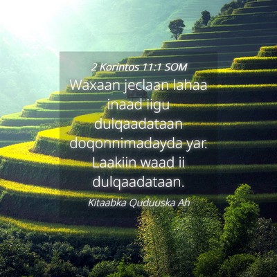 Picture 04 - 2 Korintos 11:1 SOM - Waxaan jeclaan lahaa inaad iigu dulqaadataan - Bible Verse Picture