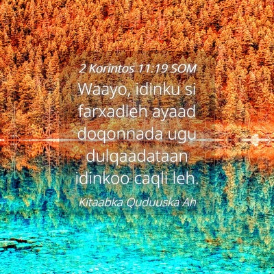 Picture 04 - 2 Korintos 11:19 SOM - Waayo, idinku si farxadleh ayaad doqonnada ugu - Bible Verse Picture