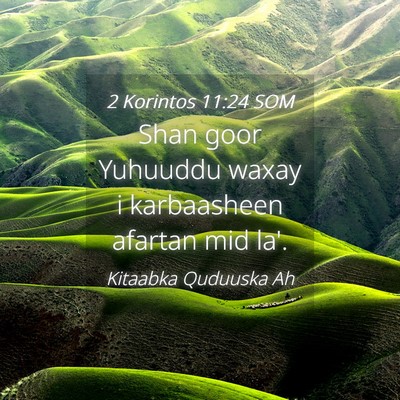Picture 04 - 2 Korintos 11:24 SOM - Shan goor Yuhuuddu waxay i karbaasheen afartan - Bible Verse Picture