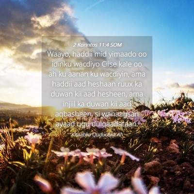 Picture 04 - 2 Korintos 11:4 SOM - Waayo, haddii mid yimaado oo idinku wacdiyo Ciise - Bible Verse Picture