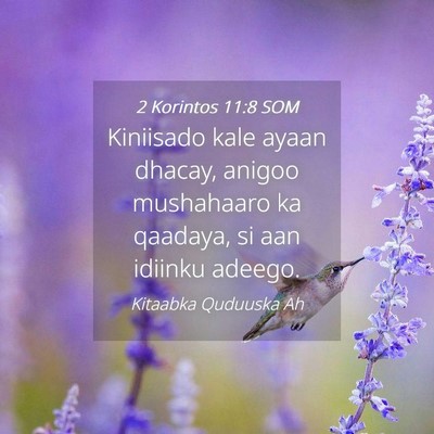 Picture 04 - 2 Korintos 11:8 SOM - Kiniisado kale ayaan dhacay, anigoo mushahaaro ka - Bible Verse Picture