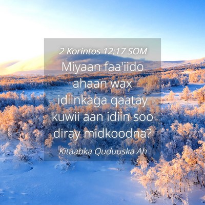 Picture 04 - 2 Korintos 12:17 SOM - Miyaan faa'iido ahaan wax idiinkaga qaatay kuwii - Bible Verse Picture
