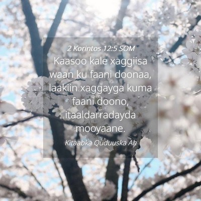 Picture 04 - 2 Korintos 12:5 SOM - Kaasoo kale xaggiisa waan ku faani doonaa, - Bible Verse Picture