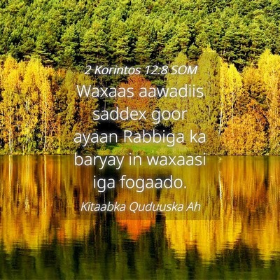 Picture 04 - 2 Korintos 12:8 SOM - Waxaas aawadiis saddex goor ayaan Rabbiga ka - Bible Verse Picture