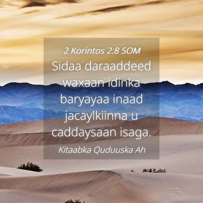 Picture 04 - 2 Korintos 2:8 SOM - Sidaa daraaddeed waxaan idinka baryayaa inaad - Bible Verse Picture
