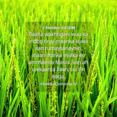Picture 04 - 2 Korintos 4:4 SOM - Ilaaha wakhtigani wuu ka indho tiray maanka kuwa - Bible Verse Picture