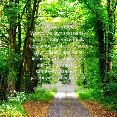 Picture 04 - 2 Korintos 5:1 SOM - Waayo, waxaynu og nahay, haddii gurigeenna dhulka - Bible Verse Picture