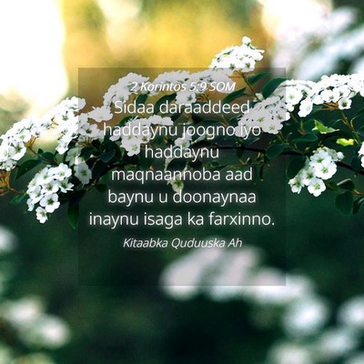 Picture 04 - 2 Korintos 5:9 SOM - Sidaa daraaddeed haddaynu joogno iyo haddaynu - Bible Verse Picture