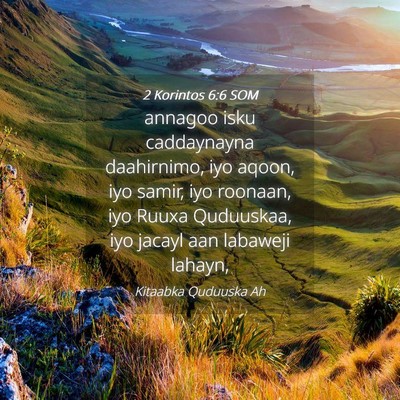 Picture 04 - 2 Korintos 6:6 SOM - annagoo isku caddaynayna daahirnimo, iyo aqoon, - Bible Verse Picture