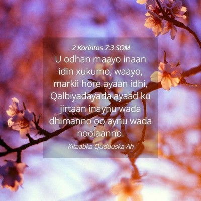 Picture 04 - 2 Korintos 7:3 SOM - U odhan maayo inaan idin xukumo, waayo, markii - Bible Verse Picture