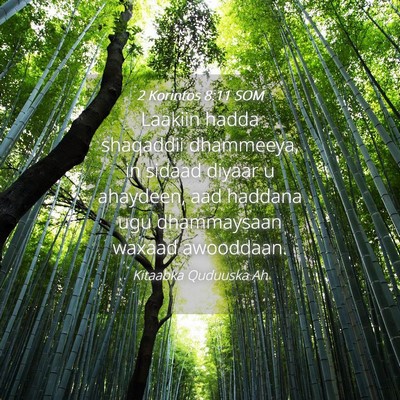 Picture 04 - 2 Korintos 8:11 SOM - Laakiin hadda shaqaddii dhammeeya, in sidaad - Bible Verse Picture