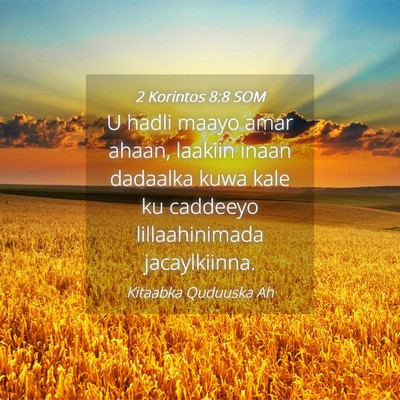 Picture 04 - 2 Korintos 8:8 SOM - U hadli maayo amar ahaan, laakiin inaan dadaalka - Bible Verse Picture