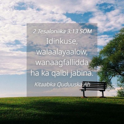 Picture 04 - 2 Tesaloniika 3:13 SOM - Idinkuse, walaalayaalow, wanaagfallidda ha ka - Bible Verse Picture